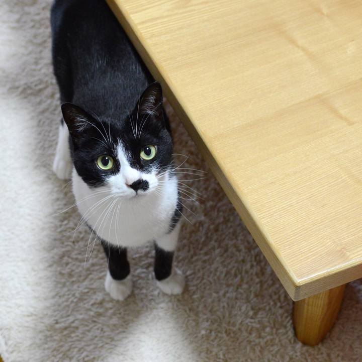 261c371d efa8 4a0d a6ea afc082616069