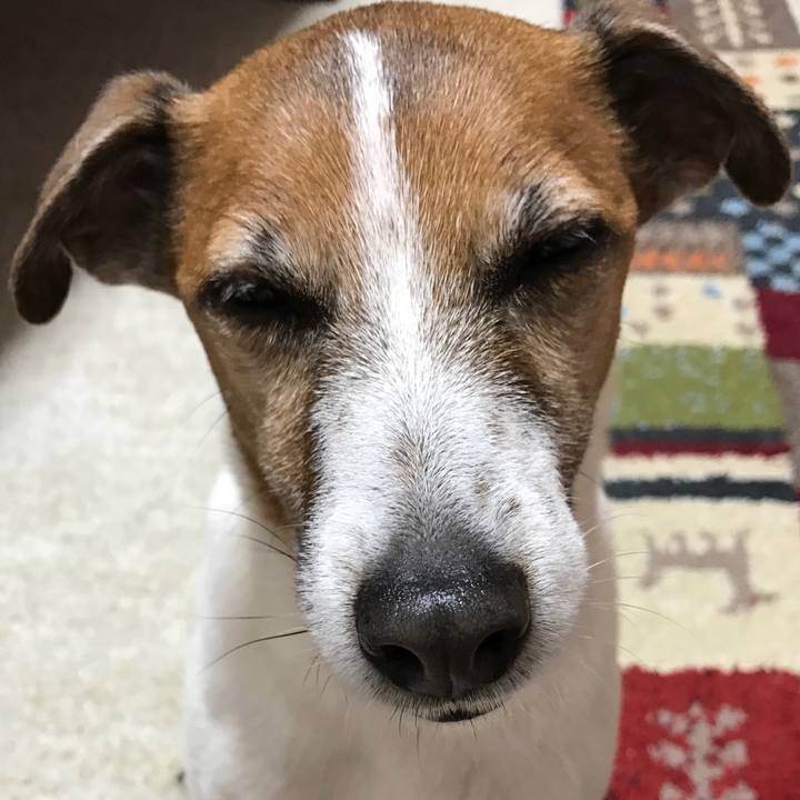 261cee4a 3595 40ef 8edf 33f14411da99