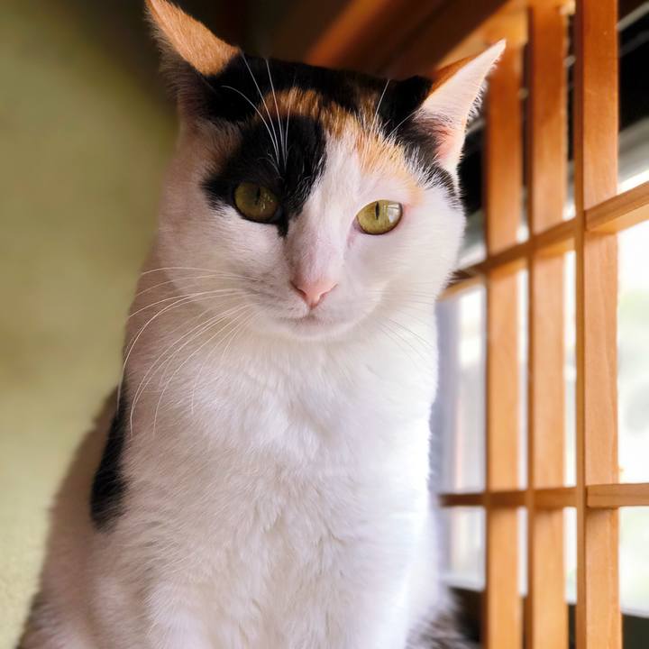 261d41ff c9cb 44e0 821a a641f713f985