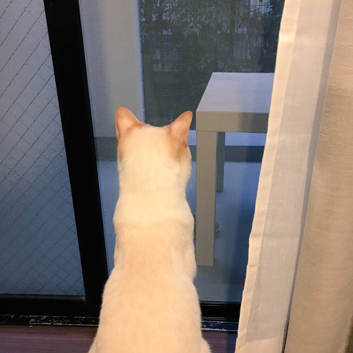 261d8e31 e715 42ad b06a 1746e725735e