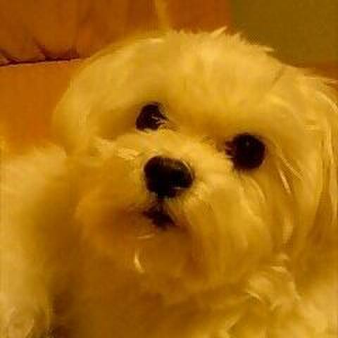 261db4c2 66c9 4e9e 976f f77c11466cc2