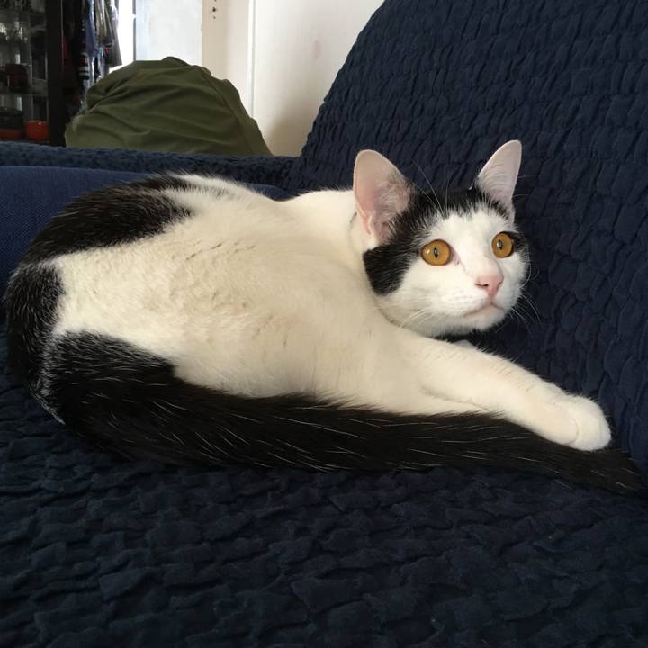 261ed334 9cad 487a 8545 cba84c81152f