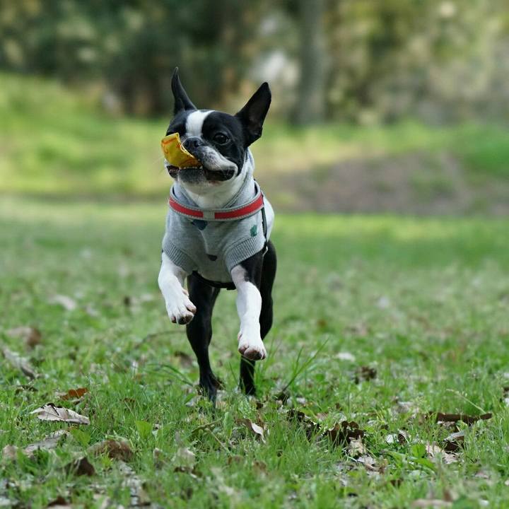 261fc710 3bbe 4b5f b9ca e0ac8e6b0f51