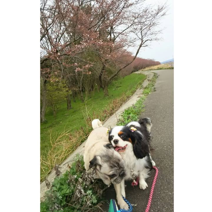 26207607 7d28 4d47 842f 674aa2a093c6