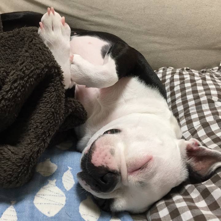 2620bd07 290b 4594 9e9c 3610fcce92cb