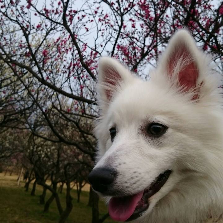 262149a7 3240 4d8c 9d88 9f8ba0c11094