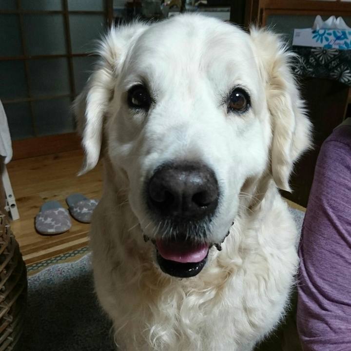 26233321 440b 42be 9fd4 0890f4fdc343