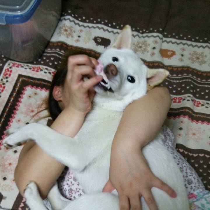 262368df 1af3 4314 b0ce 1b10b743e2e3