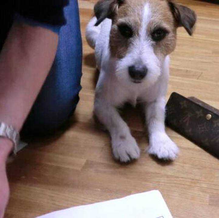 26245730 0b8a 4243 ad67 325ff75c81a1