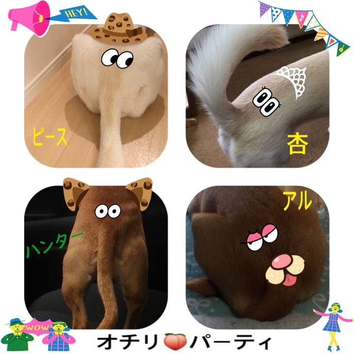 26249438 a02c 4552 80ec 0141f8584b68