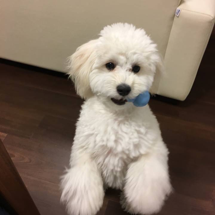 2624b949 b9f2 4f75 a129 88e486e75c1a