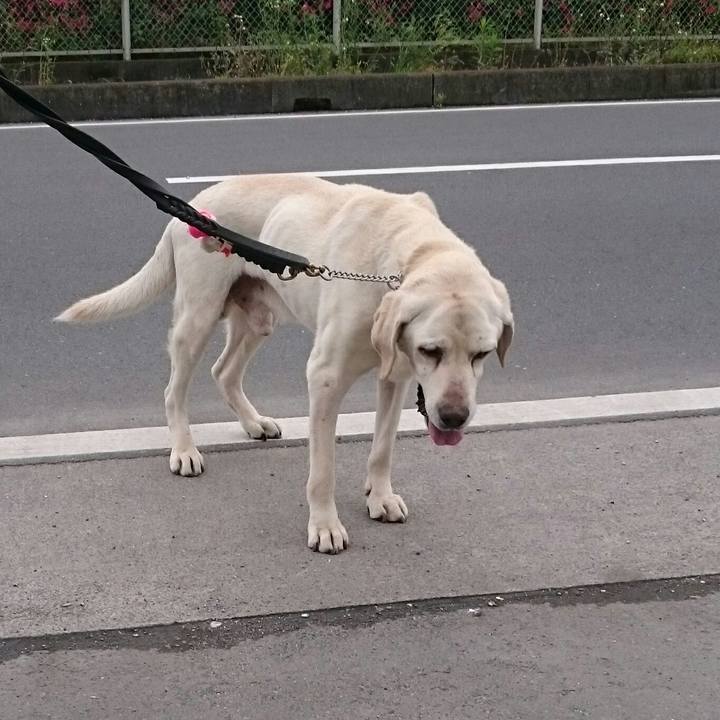 2624c13b d5d6 4595 9a25 f1dfb148e211