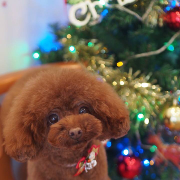 2626dc69 d432 434b 8d35 8465863a503f