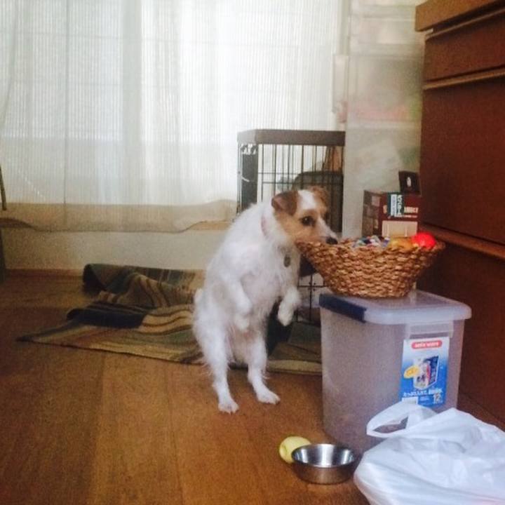 262783fb affd 45ac a62a 205b395a655a