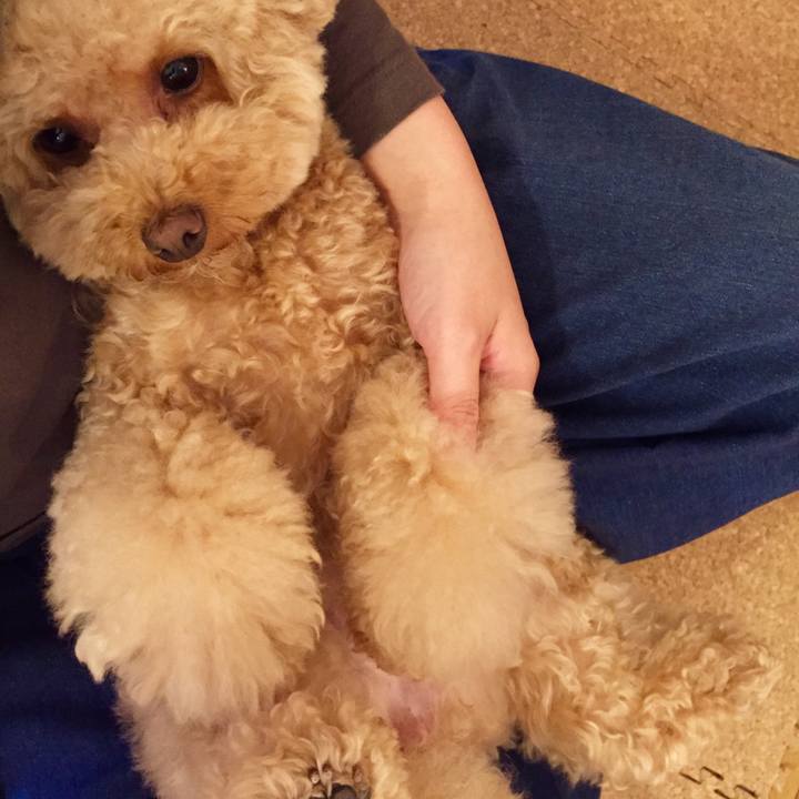 2627bd6d 794e 47f1 a549 a7a862389ad4