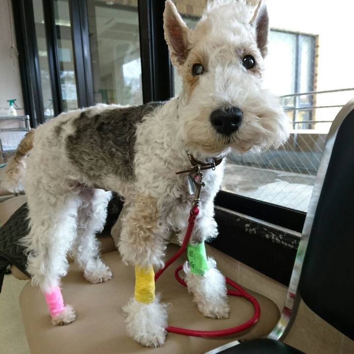 26289011 00d4 4b16 a7ae 256d14aa41b1