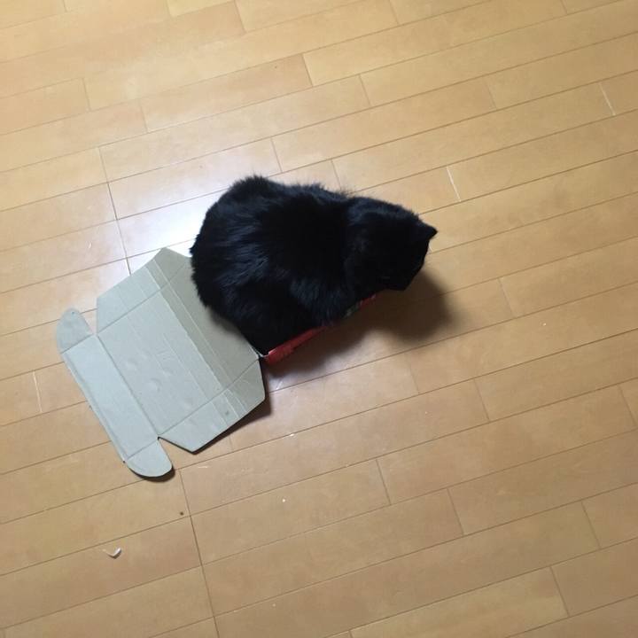 2628bd83 c714 4257 b0b5 3fd8825337a5