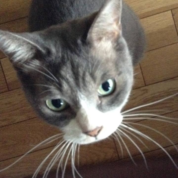 2628cb57 2f97 4f70 9c1f 8fd08ceaf72e