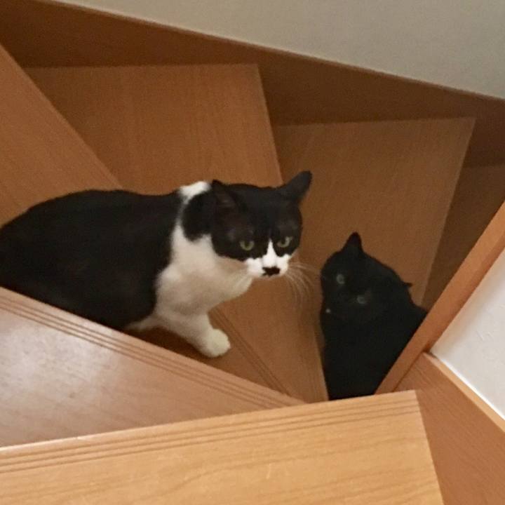 26293a36 bed6 4715 9921 1ee36696707a