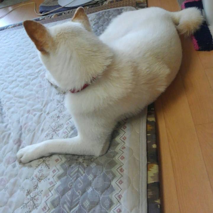 262967c2 9b13 47dc b5f2 adfcc80348f6