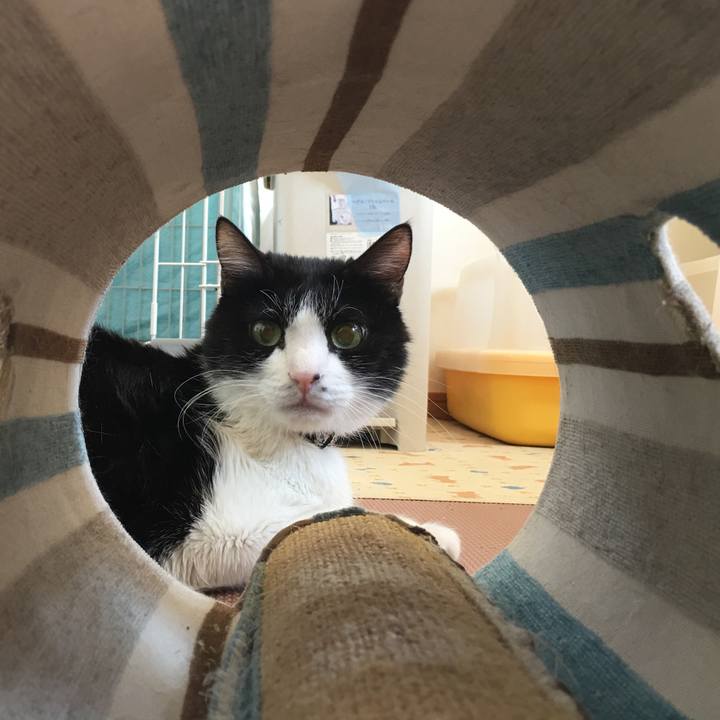 262b262a aa48 450f 9a1b a7141995cb72