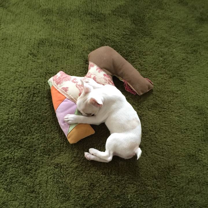 262c32e2 d64e 44b1 ae32 983da1517e37