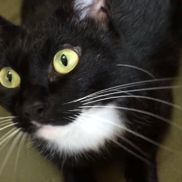 262c9f82 61e8 47d5 89bb cb5c645c942b