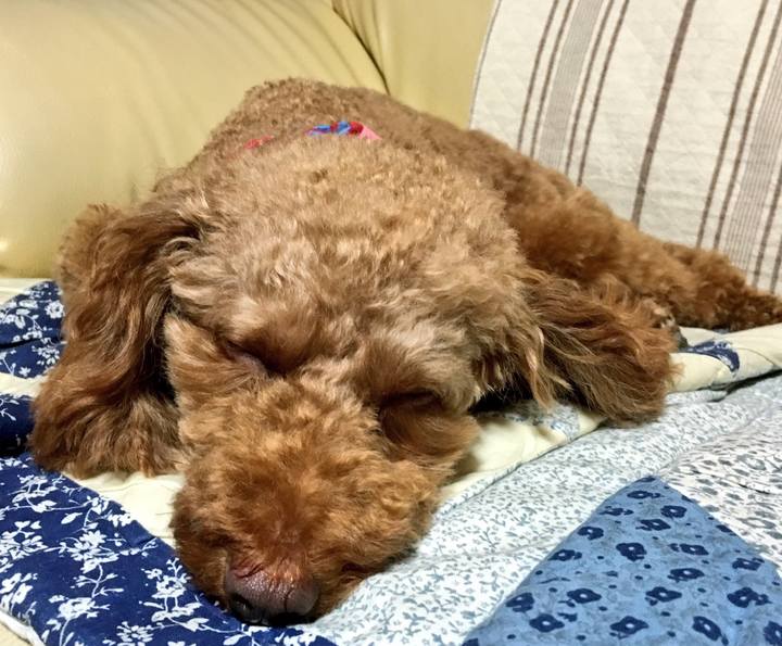 262d4cb0 4698 472d 955d 1296e65514a6