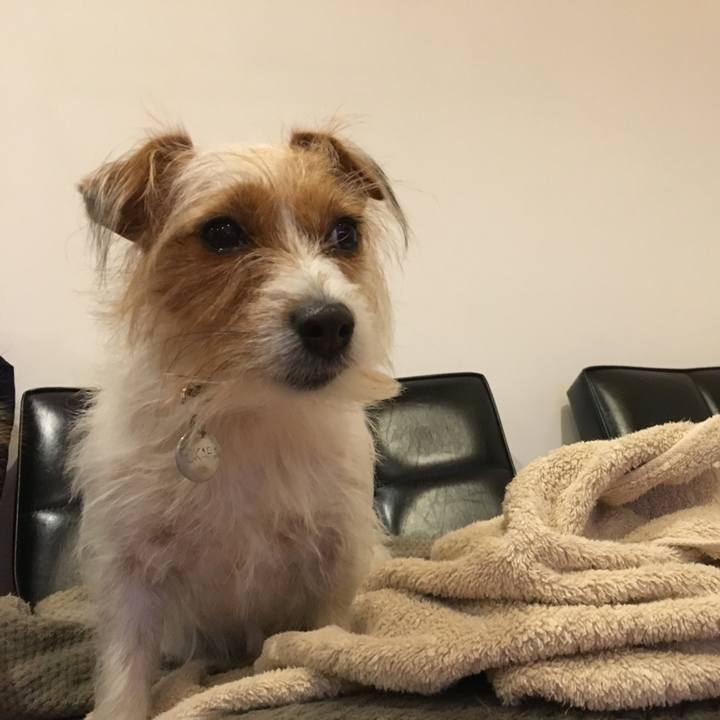 262d9145 4881 46a1 b959 045f4f1a630e