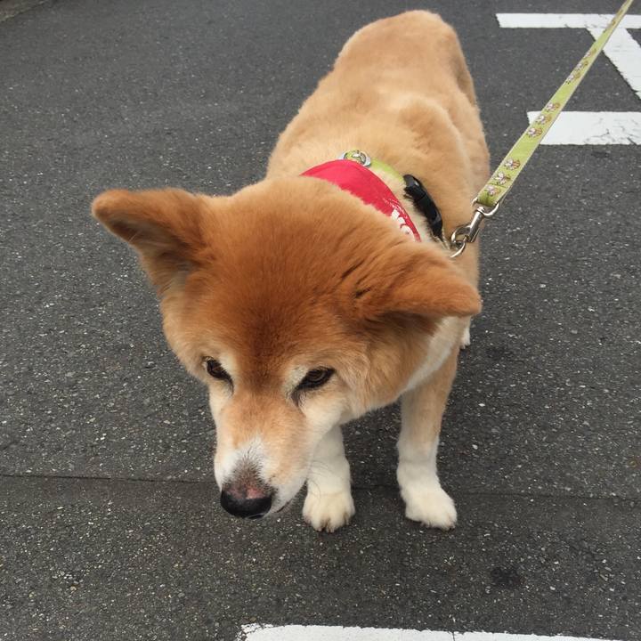 262d9250 cf1d 4b96 bfa3 1753cea7331d