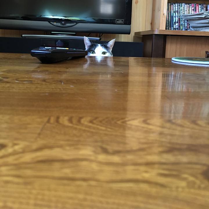 262e3a68 bb52 4a7f bba0 cdce67fdfdde