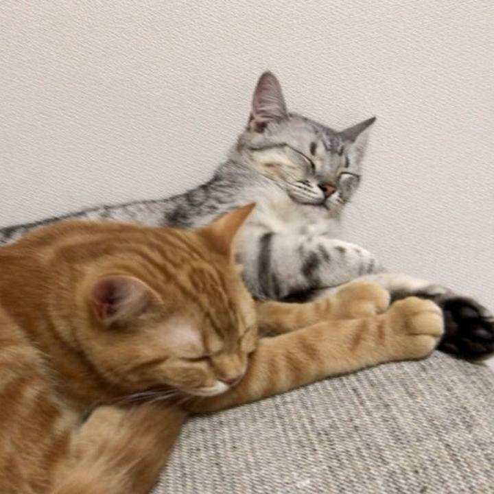 262ed6c8 0427 452f 8d7a 5c31b296e550