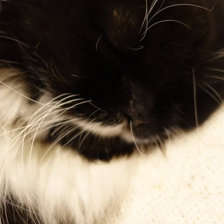 262edb17 edf0 4d10 96a6 28d624793be9