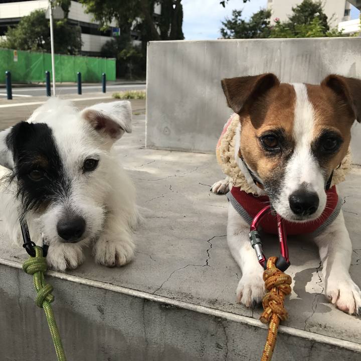 262ee26d db30 4ae3 a253 f94d76a15a36