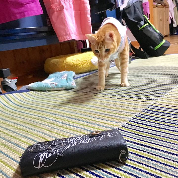 262f221f 8d3a 4def 8c65 3afea9063774