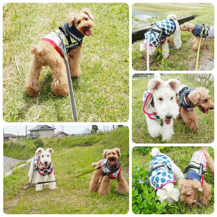 262ff8a9 3d80 40a9 82d9 1c52428c72fa