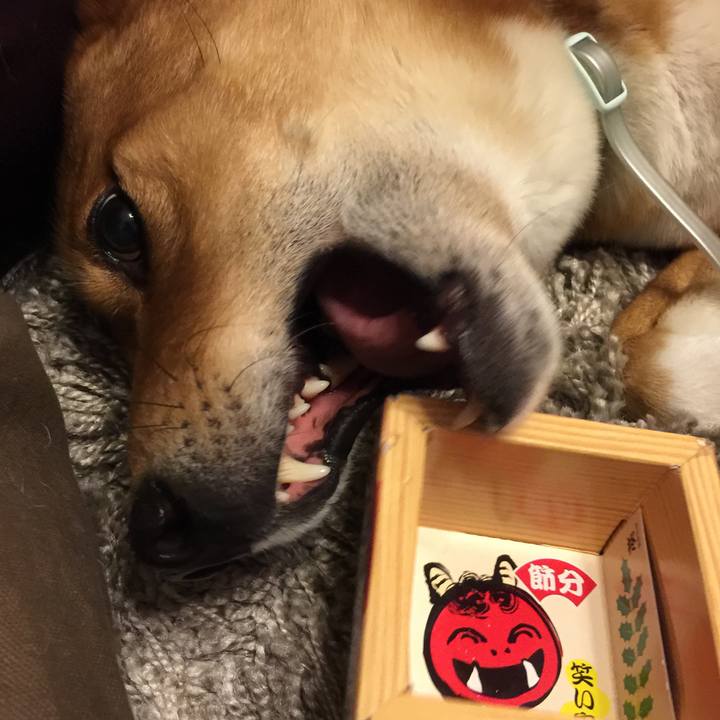 26329395 9b2c 4105 a6fb 7325b6a4c9a0