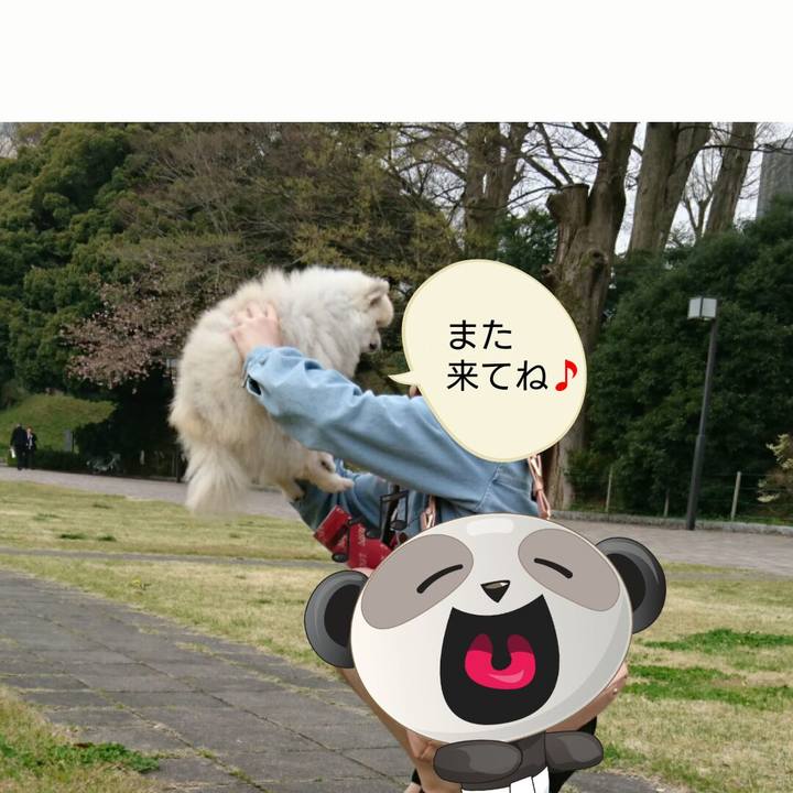 263313ae 3c2f 4ce8 87f5 b1a544afed1d