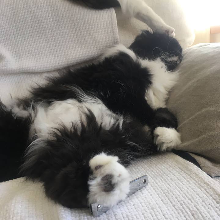 263320f6 10da 4ea5 8ff9 95ef61422724