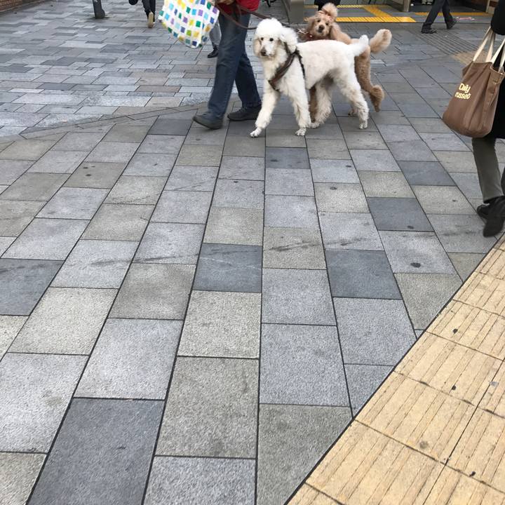 26334e78 cd17 43ea 9858 1ce455c2e13c