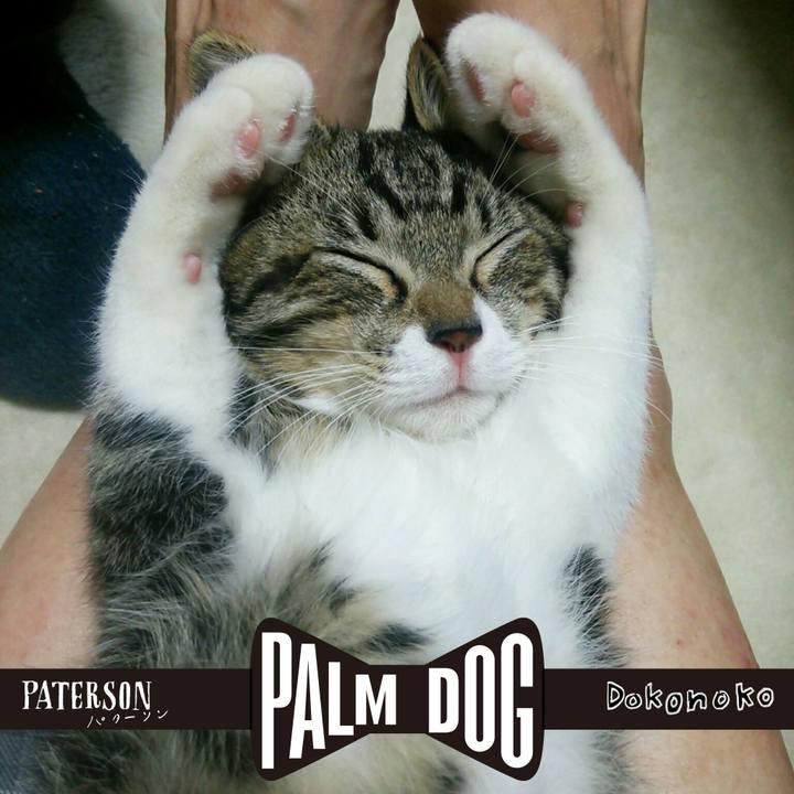 2633f9b1 d129 4774 8f6b 99d1febf8827