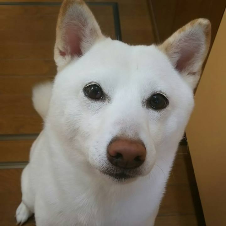 26347af5 205a 412b abd3 f5ee39bc1994