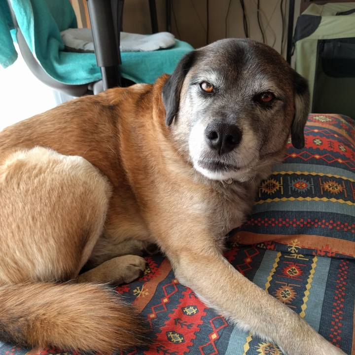 263481b5 32e5 4e63 985e 88a637cf32a5