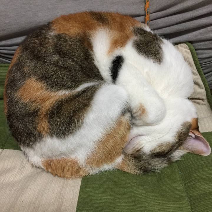 26348c0e 7e8c 48f0 807b fa55b2e5064b