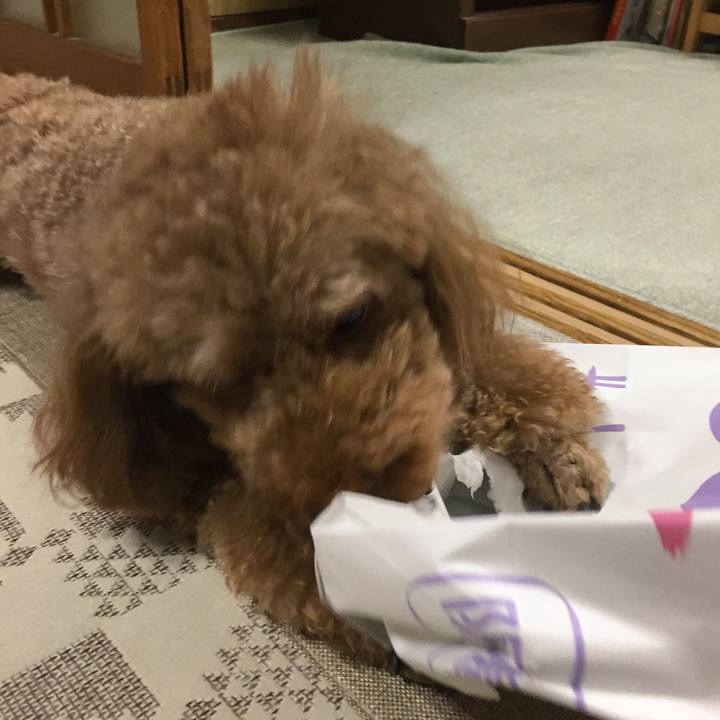 2635da4b 29f8 43b4 8521 d6a1ba4d42d3