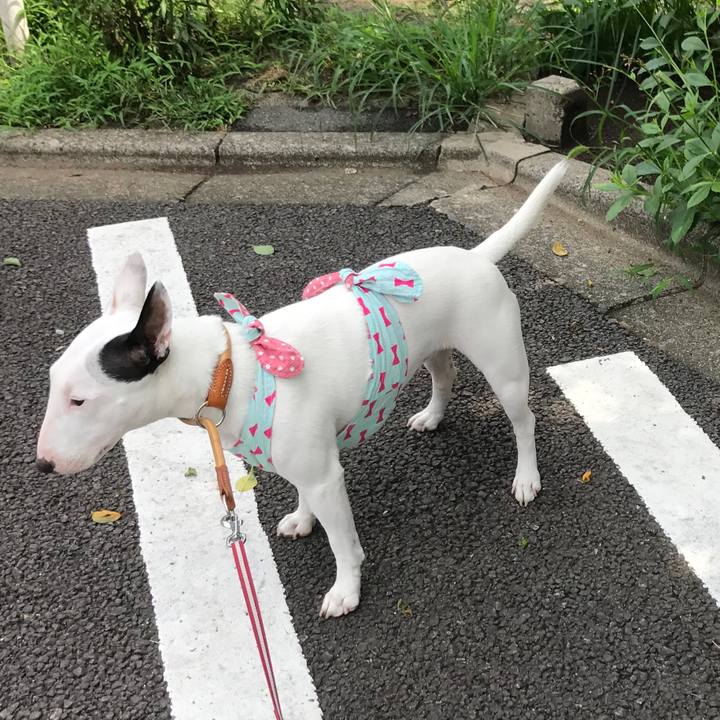 26364183 4d23 445c 8ae6 590002afbf12