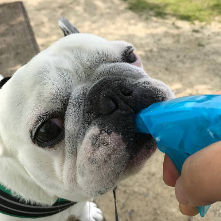 263669c8 d9b3 4dea b327 2beb357d880f