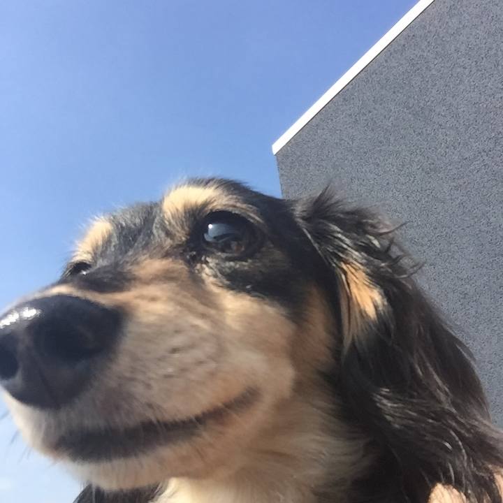 26368b62 69d7 4af4 ab6f 7d6c9f055cdf