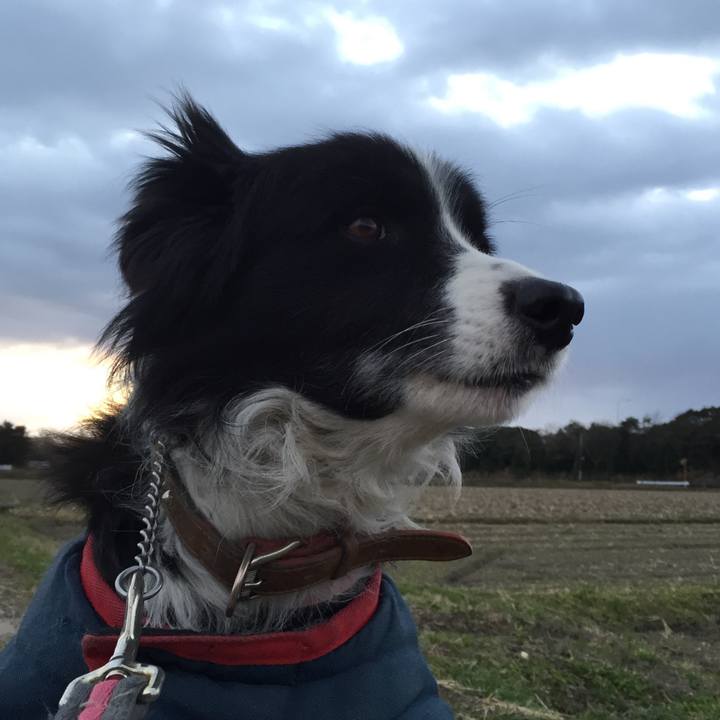 26372b51 d9b7 4379 a703 4e2736335e36