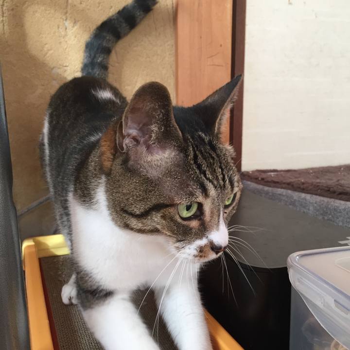 263742d8 22f4 4092 ac52 e2909d1d8573